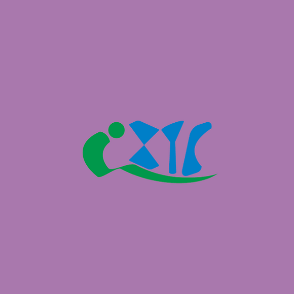 上海國際智慧公交技術(shù)裝備展覽會介紹