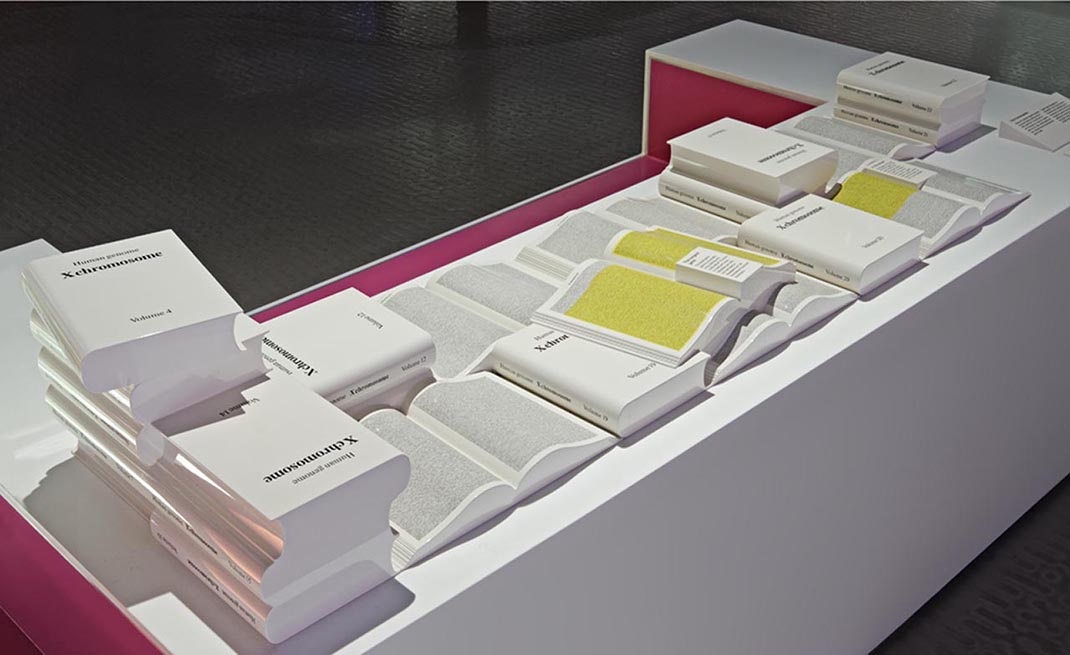 科學(xué)博物館展廳設(shè)計